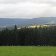 Okol� Vikantic